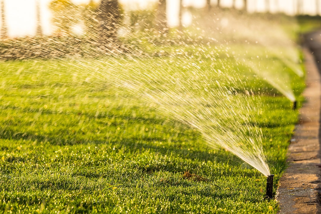 Lawn Irrigation Services